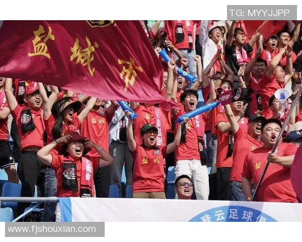 南京足球队技术争议引发热议球迷各抒己见探讨战术与表现